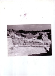 Pistiros2