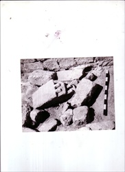 Pistiros2